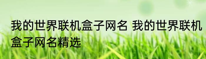 我的世界联机盒子网名 我的世界联机盒子网名精选