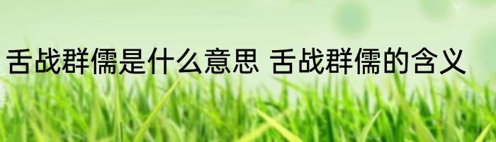 舌战群儒是什么意思 舌战群儒的含义