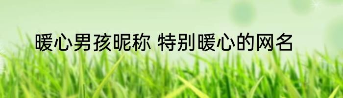 暖心男孩昵称 特别暖心的网名