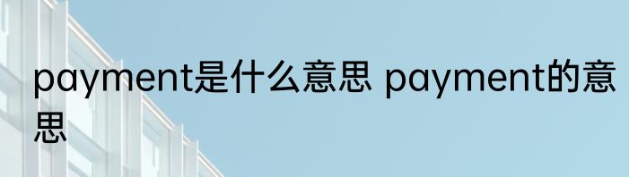 payment是什么意思 payment的意思