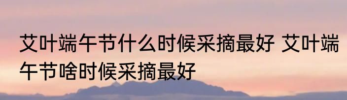 艾叶端午节什么时候采摘最好 艾叶端午节啥时候采摘最好