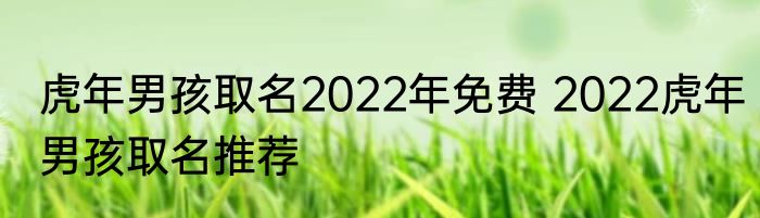 虎年男孩取名2022年免费 2022虎年男孩取名推荐