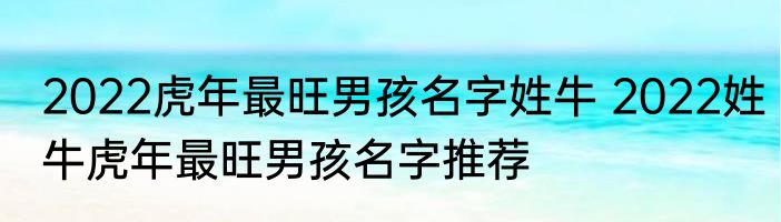2022虎年最旺男孩名字姓牛 2022姓牛虎年最旺男孩名字推荐