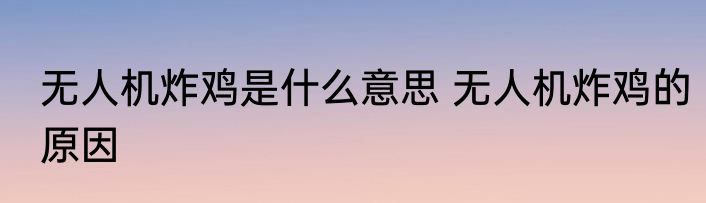 无人机炸鸡是什么意思 无人机炸鸡的原因