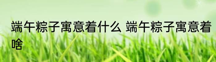 端午粽子寓意着什么 端午粽子寓意着啥