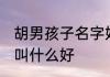 胡男孩子名字好听文雅 姓胡的男孩子叫什么好