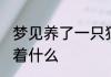梦见养了一只猫 梦见养了一只猫预示着什么