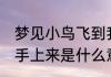 梦见小鸟飞到我的手上 梦见鸟儿飞到手上来是什么意思