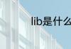 lib是什么意思 lib的解释