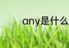 any是什么意思 any的解释