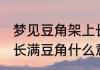 梦见豆角架上长满豆角 梦见豆角架上长满豆角什么意思