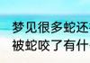 梦见很多蛇还被蛇咬了 梦见很多蛇还被蛇咬了有什么预示