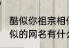 酷似你祖宗相似的网名 酷似你祖宗相似的网名有什么