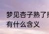 梦见杏子熟了摘杏子吃 梦见摘杏子吃有什么含义