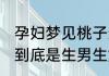 孕妇梦见桃子生男生女 孕妇梦见桃子到底是生男生女