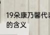 19朵康乃馨代表什么意思 19朵康乃馨的含义