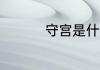 守宫是什么 守宫的介绍