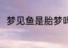 梦见鱼是胎梦吗 梦见鱼是不是胎梦