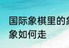 国际象棋里的象怎么走 国际象棋里的象如何走