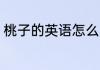 桃子的英语怎么写 桃子的英语如何写
