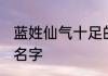 蓝姓仙气十足的名字 比较仙气的蓝姓名字