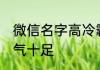 微信名字高冷霸气十足的 网名高冷霸气十足