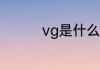 vg是什么意思 vg的含义