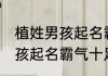 植姓男孩起名霸气十足的名字 植姓男孩起名霸气十足的好听名字