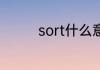 sort什么意思 sort的意思
