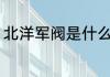 北洋军阀是什么意思 北洋军阀的含义