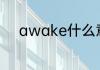 awake什么意思 awake的意思