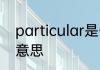 particular是什么意思 particular的意思
