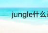 jungle什么意思 jungle的意思