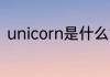 unicorn是什么意思 unicorn的意思