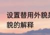 设置替用外貌是什么意思 设置替用外貌的解释