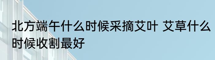 北方端午什么时候采摘艾叶 艾草什么时候收割最好
