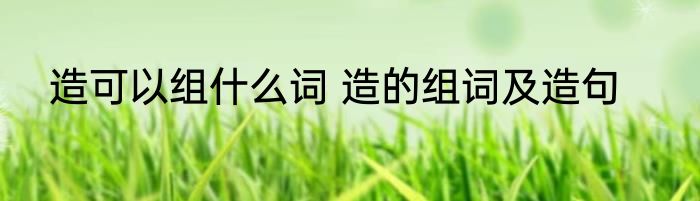 造可以组什么词 造的组词及造句