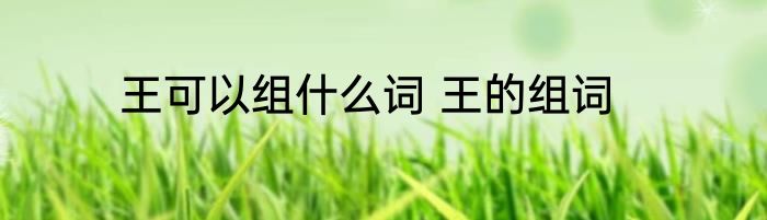 王可以组什么词 王的组词