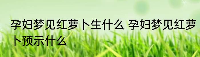 孕妇梦见红萝卜生什么 孕妇梦见红萝卜预示什么