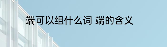 端可以组什么词 端的含义