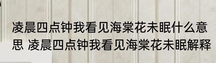 凌晨四点钟我看见海棠花未眠什么意思 凌晨四点钟我看见海棠花未眠解释