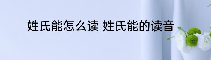 姓氏能怎么读 姓氏能的读音