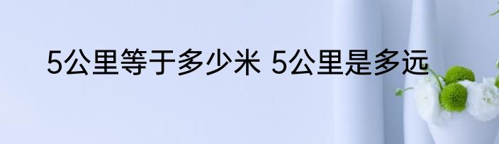 5公里等于多少米 5公里是多远