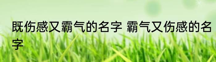 既伤感又霸气的名字 霸气又伤感的名字