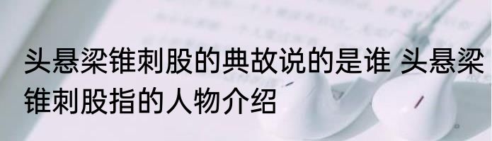 头悬梁锥刺股的典故说的是谁 头悬梁锥刺股指的人物介绍