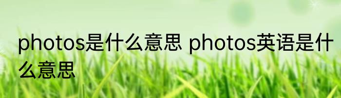 photos是什么意思 photos英语是什么意思
