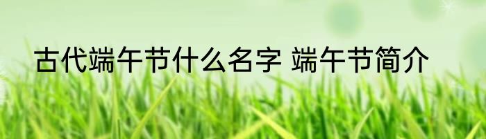 古代端午节什么名字 端午节简介