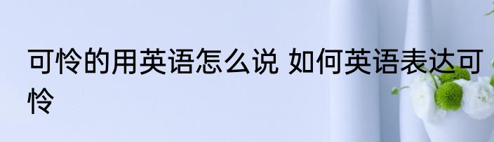 可怜的用英语怎么说 如何英语表达可怜
