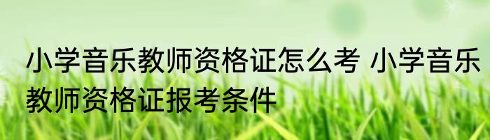 小学音乐教师资格证怎么考 小学音乐教师资格证报考条件