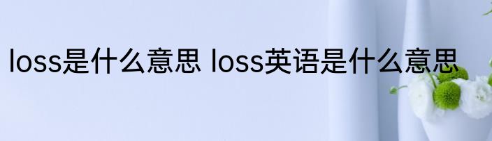 loss是什么意思 loss英语是什么意思